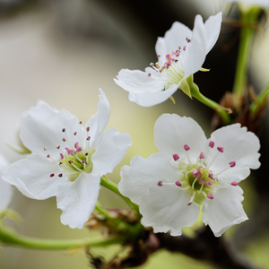 日本親子亂子倫XXXX10路
